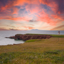 La biodiversité des Îles